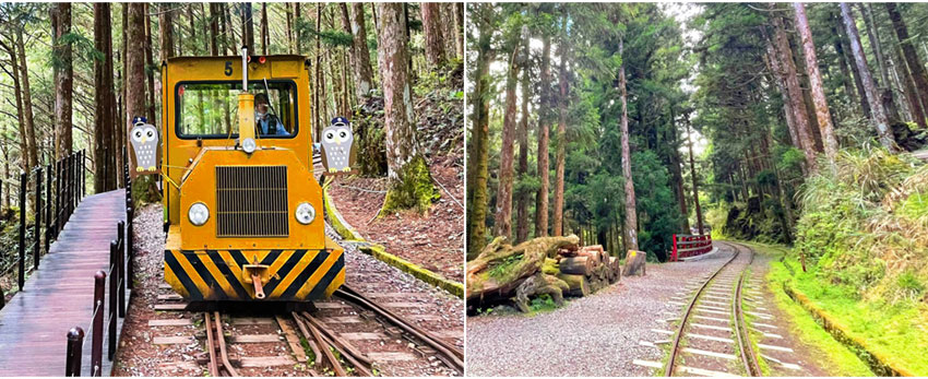 太平山蹦蹦車-鐵杉林國家步道